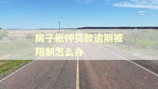 房子抵押贷款逾期被限制怎么办