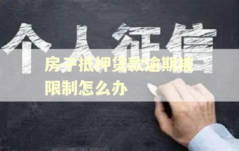 房子抵押贷款逾期被限制怎么办