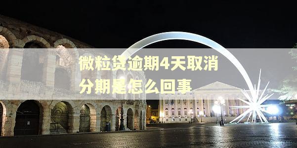 微粒贷逾期4天取消分期是怎么回事