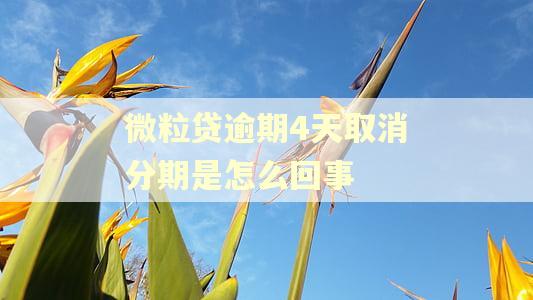 微粒贷逾期4天取消分期是怎么回事