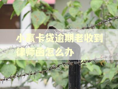 小嬴卡贷逾期老收到律师函怎么办