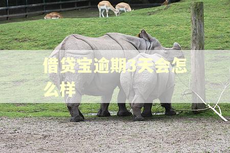 借贷宝逾期3天会怎么样
