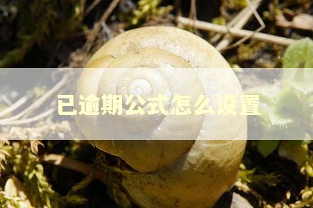 已逾期公式怎么设置