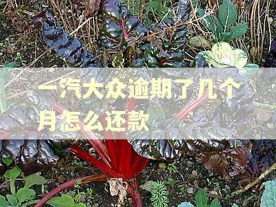 一汽大众逾期了几个月怎么还款