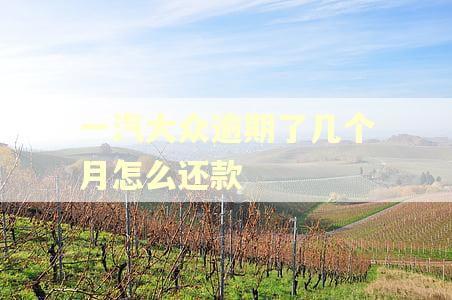 一汽大众逾期了几个月怎么还款