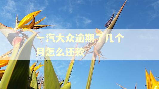 一汽大众逾期了几个月怎么还款 一汽大众逾期了几个月怎么还款