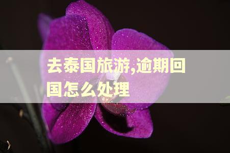 去泰国旅游,逾期回国怎么处理