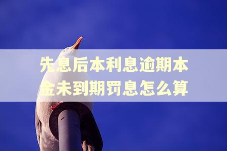 先息后本利息逾期本金未到期罚息怎么算 先息后本利息逾期本金未到期罚息怎么算