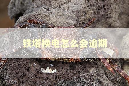 铁塔换电怎么会逾期