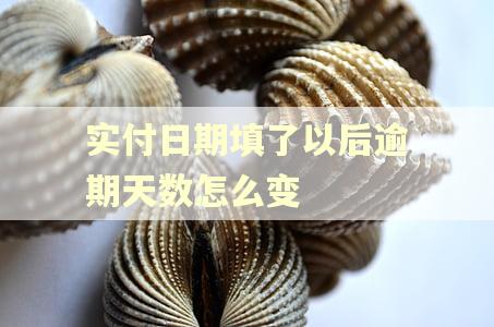 实付日期填了以后逾期天数怎么变 实付日期填了以后逾期天数怎么变