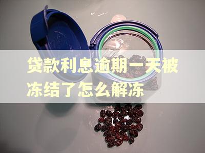 贷款利息逾期一天被冻结了怎么解冻