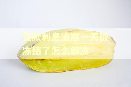 贷款利息逾期一天被冻结了怎么解冻