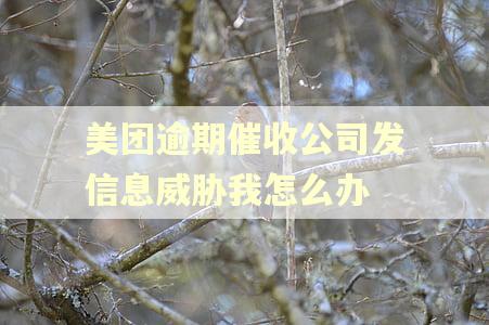 美团逾期催收公司发信息威胁我怎么办 美团逾期催收公司发信息威胁我怎么办