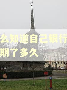 怎么知道自己银行卡逾期了多久