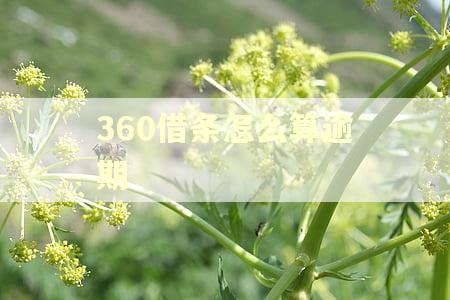 360借条怎么算逾期