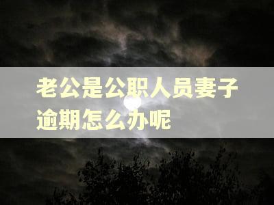老公是公职人员妻子逾期怎么办呢