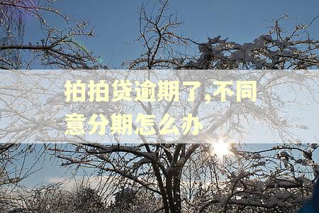 拍拍贷逾期了,不同意分期怎么办