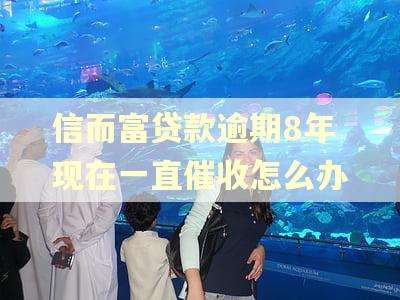 信而富贷款逾期8年现在一直催收怎么办