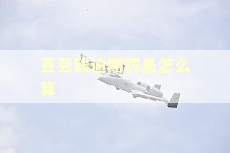 豆豆钱逾期罚息怎么算
