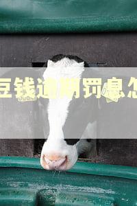 豆豆钱逾期罚息怎么算