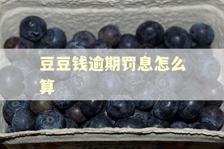 豆豆钱逾期罚息怎么算