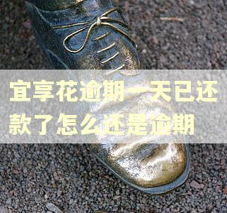 宜享花逾期一天已还款了怎么还是逾期