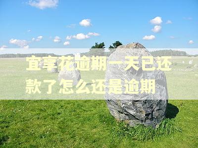 宜享花逾期一天已还款了怎么还是逾期