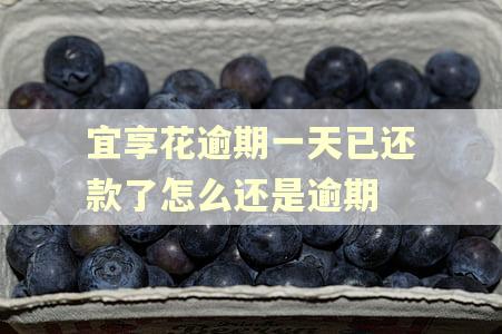 宜享花逾期一天已还款了怎么还是逾期