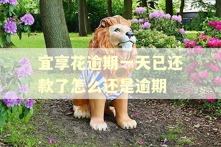 宜享花逾期一天已还款了怎么还是逾期