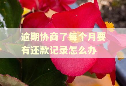 逾期协商了每个月要有还款记录怎么办