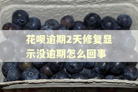 花呗逾期2天修复显示没逾期怎么回事