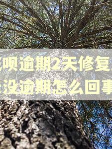 花呗逾期2天修复显示没逾期怎么回事