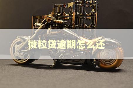 微粒贷逾期怎么还