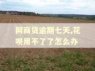 网商贷逾期七天,花呗用不了了怎么办