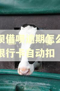 花呗借呗逾期怎么防止银行卡自动扣