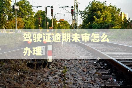 驾驶证逾期未审怎么办理