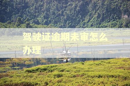 驾驶证逾期未审怎么办理