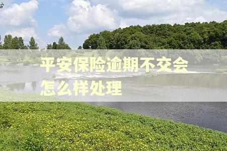 平安保险逾期不交会怎么样处理