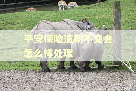 平安保险逾期不交会怎么样处理