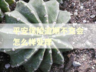 平安保险逾期不交会怎么样处理 平安保险逾期不交会怎么样处理