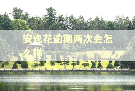 安逸花逾期两次会怎么样