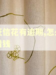征信花有逾期,怎么借钱 征信花有逾期,怎么借钱