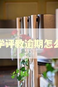 大学评教逾期怎么办