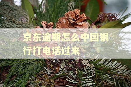 京东逾期怎么中国银行打电话过来