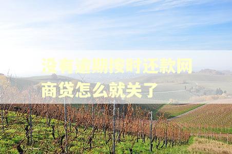 没有逾期按时还款网商贷怎么就关了