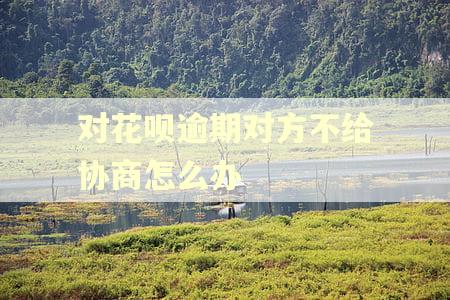 对花呗逾期对方不给协商怎么办