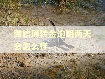 微信周转金逾期两天会怎么样