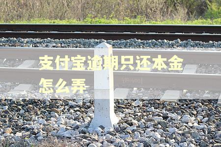 支付宝逾期只还本金怎么弄