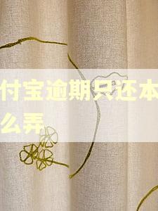 支付宝逾期只还本金怎么弄
