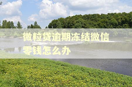 微粒贷逾期冻结微信零钱怎么办